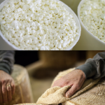 De la diversité dans les menus à l’hôpital avec les Fromageries Occitanes et UniHa
