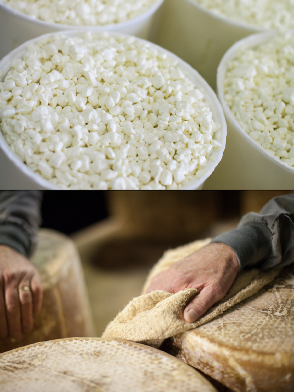 De la diversité dans les menus à l’hôpital avec les Fromageries Occitanes et UniHa