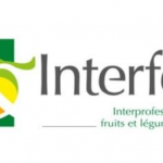 Interfel : un nouveau président un Bureau développé
