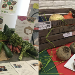 Manger bio en entreprise : la démarche d’Orange