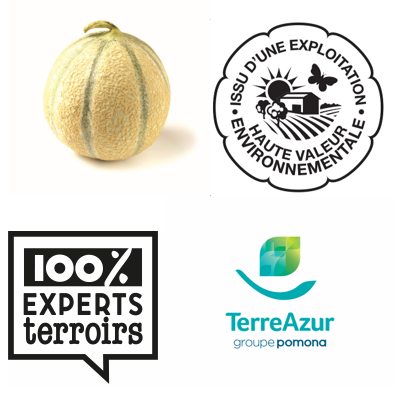 Melon TerreAzur : une démarche agro-écologique poussée