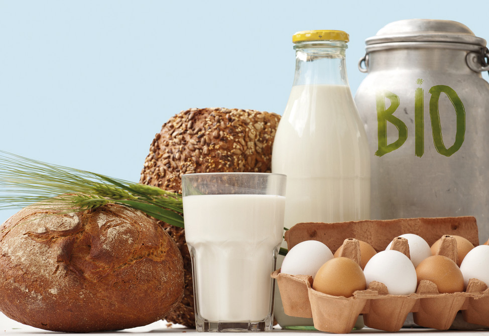 Bio en scolaire : La cantine à l’heure du bio