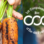 Une légumerie 100% biologique à l’écopôle de Sénart