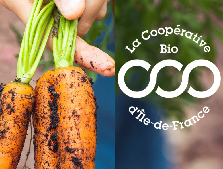 Une légumerie 100% biologique à l’écopôle de Sénart