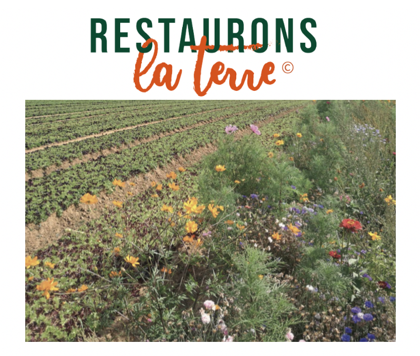 Restaurons la Terre©, projet engagé auprès des agriculteurs