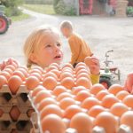 Des filières de qualité et des partenariats pérennes privilégiés par Sodexo