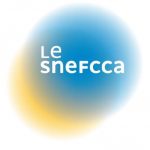 Le Snefcca réclame la prise en compte de ses métiers dans le plan de soutien de l’Etat