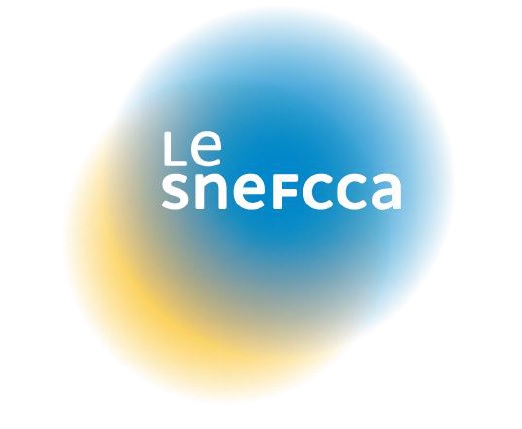 Le Snefcca réclame la prise en compte de ses métiers dans le plan de soutien de l’Etat