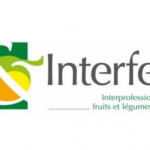 Interfel déplore l’exclusion des fruits et légumes frais du nouveau dispositif des appels d’offres publics