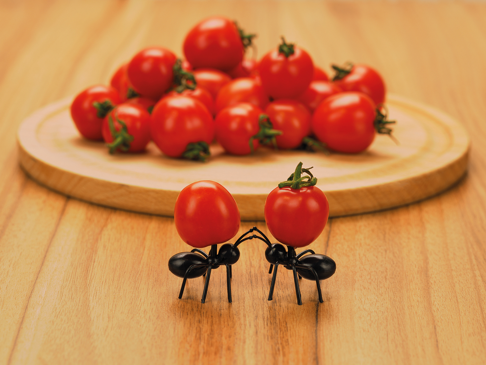 Participez au concours Photo & Cuisine sur les thèmes TOMATE et ANIMAUX