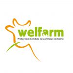 Welfarm : vers des menus éthiques dans les cantines scolaires