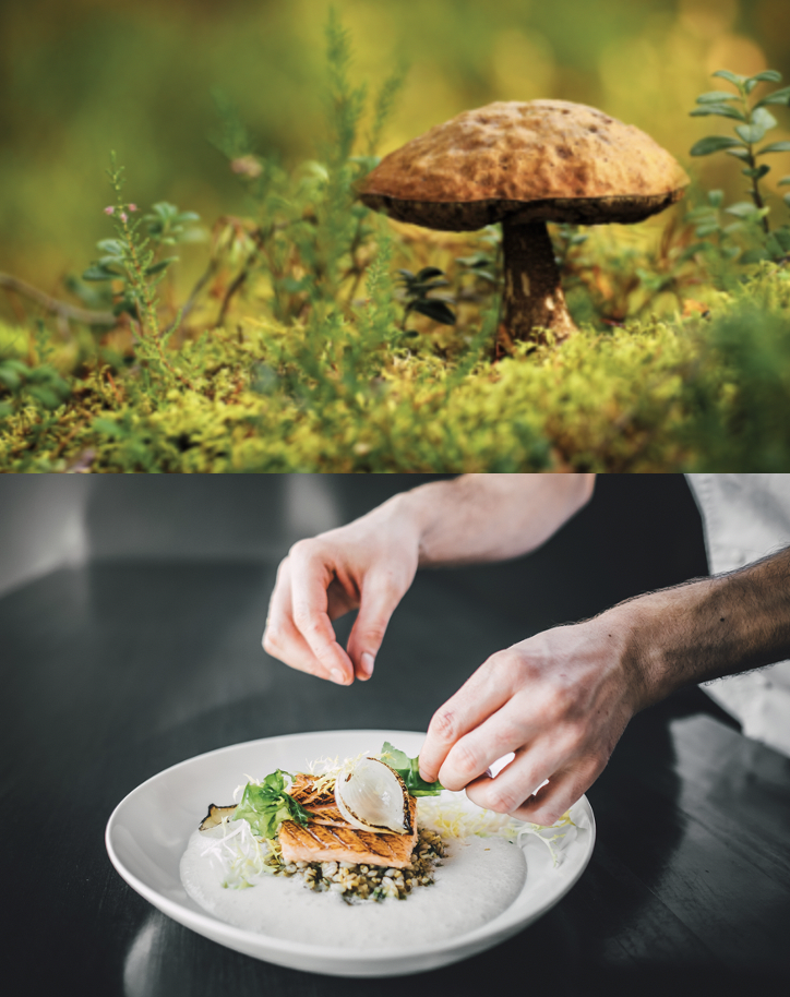 Participez au concours Photo & Cuisine sur les thèmes FORÊT et POISSON