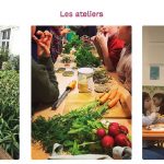 Porte-parole & collectif : L’éducation alimentaire en mouvement avec L’école comestible