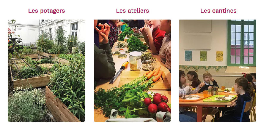 Porte-parole & collectif : L’éducation alimentaire en mouvement avec L’école comestible