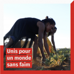 « Unis pour un monde sans faim », une émission spéciale par Stop Hunger
