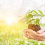 Ne pas perdre de vue l’essentiel en s’alimentant mieux