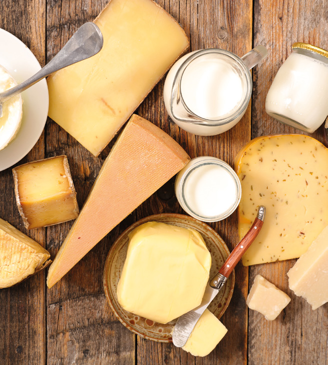 Produits laitiers : Les bonnes ressources de la voie lactée