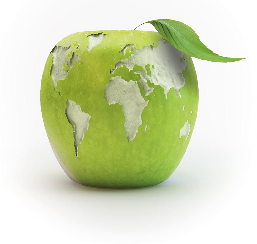 Colloque nutrition : Enjeux et défis autour de l’alimentation durable
