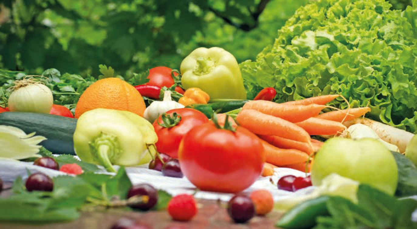 Entre agriculture et restauration collective, les enjeux de l’alimentation de demain