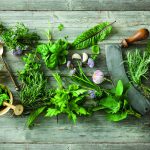 Participez au concours Photo & Cuisine sur les thèmes SALADES et HERBES AROMATIQUES