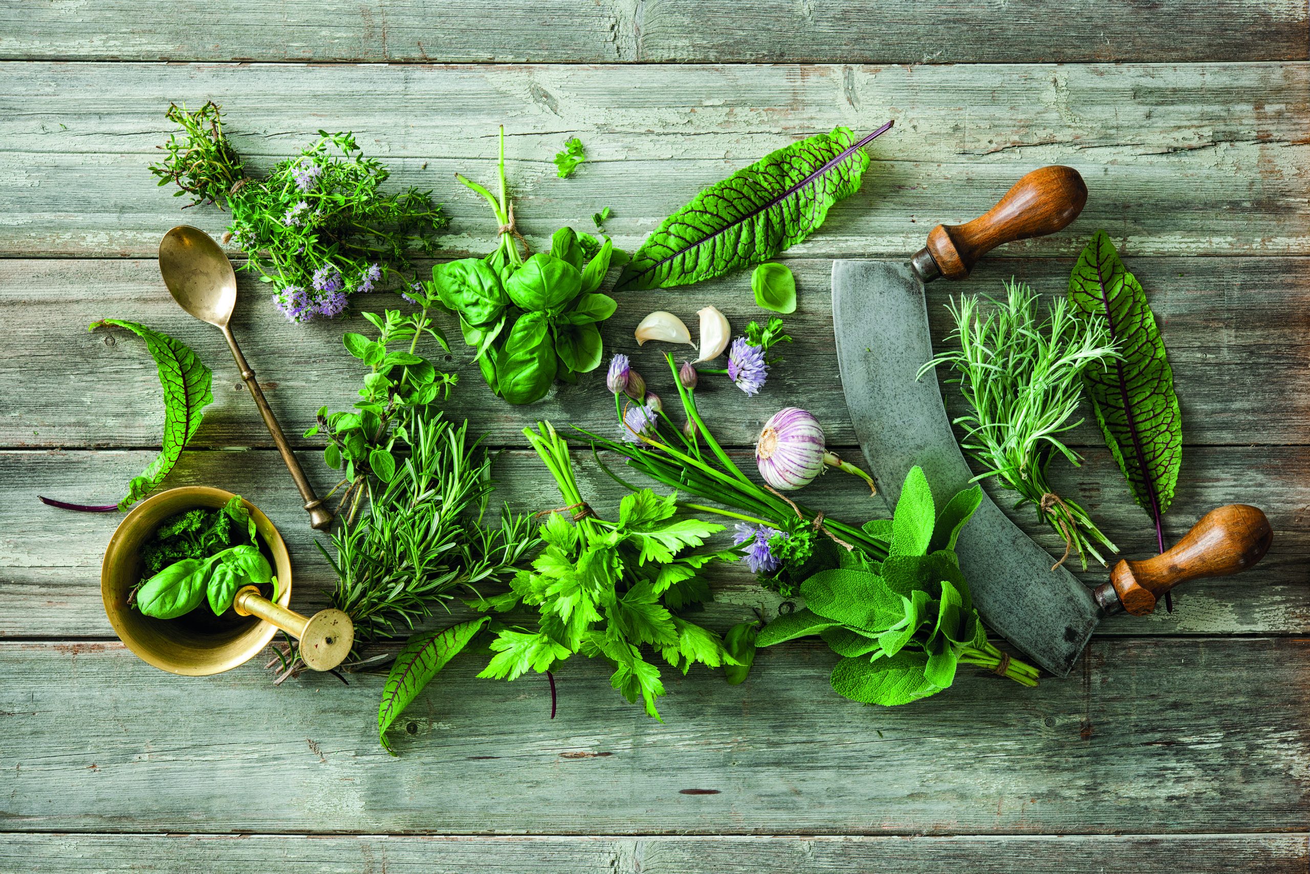 Participez au concours Photo & Cuisine sur les thèmes SALADES et HERBES AROMATIQUES