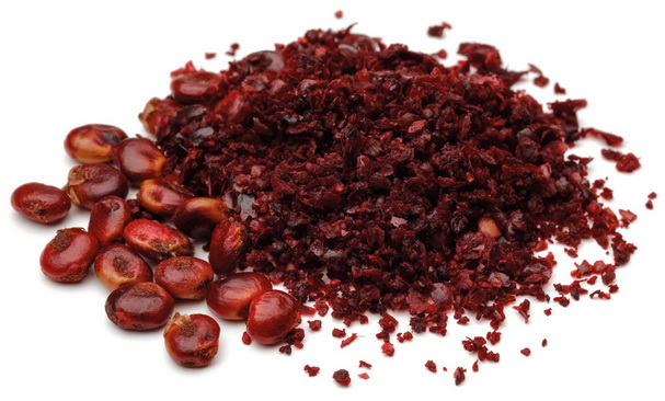 Voyage au pays des saveurs avec le sumac
