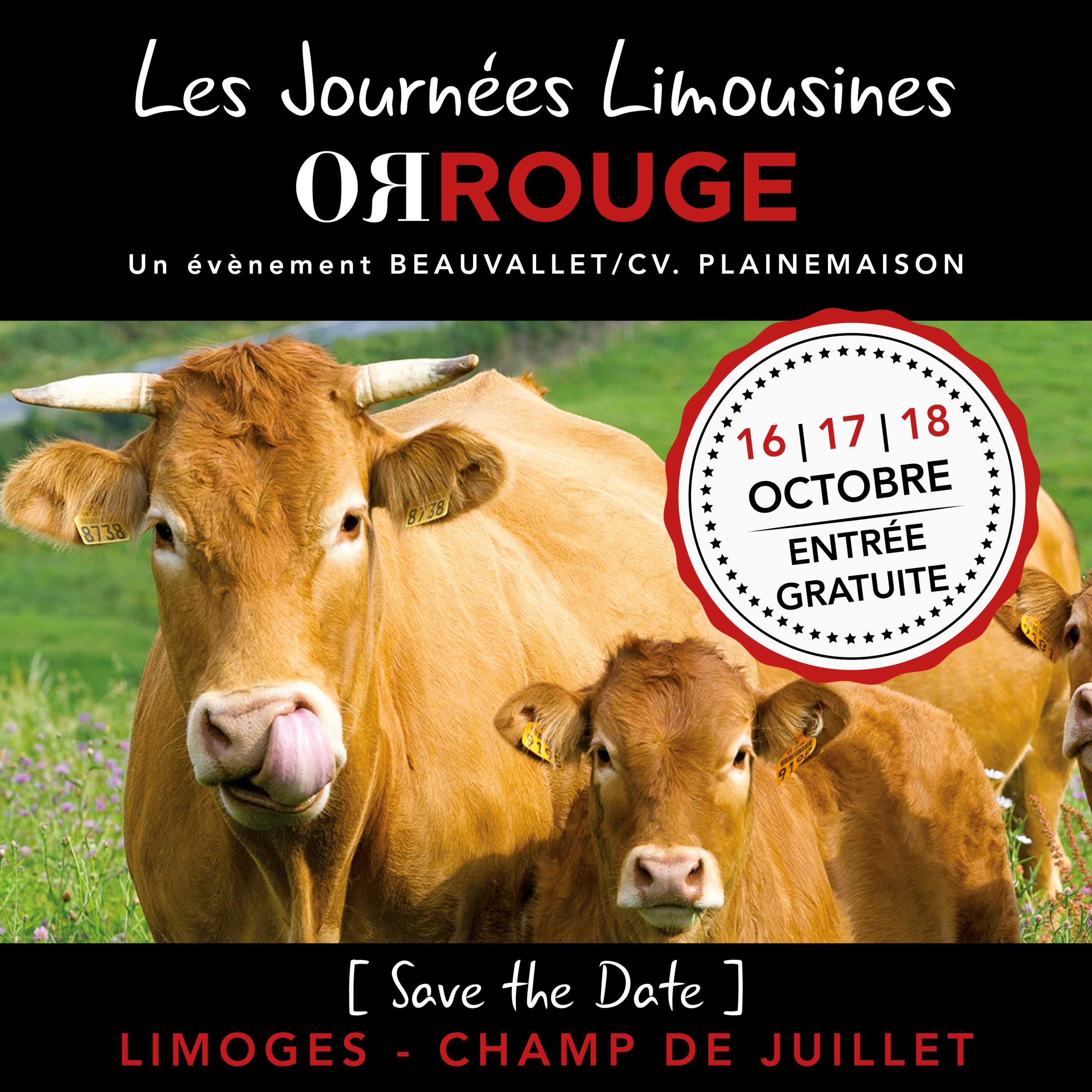 Les Journées Limousines Or Rouge de Beauvallet / CV Plainemaison de retour du 16 au 18 octobre à Limoges