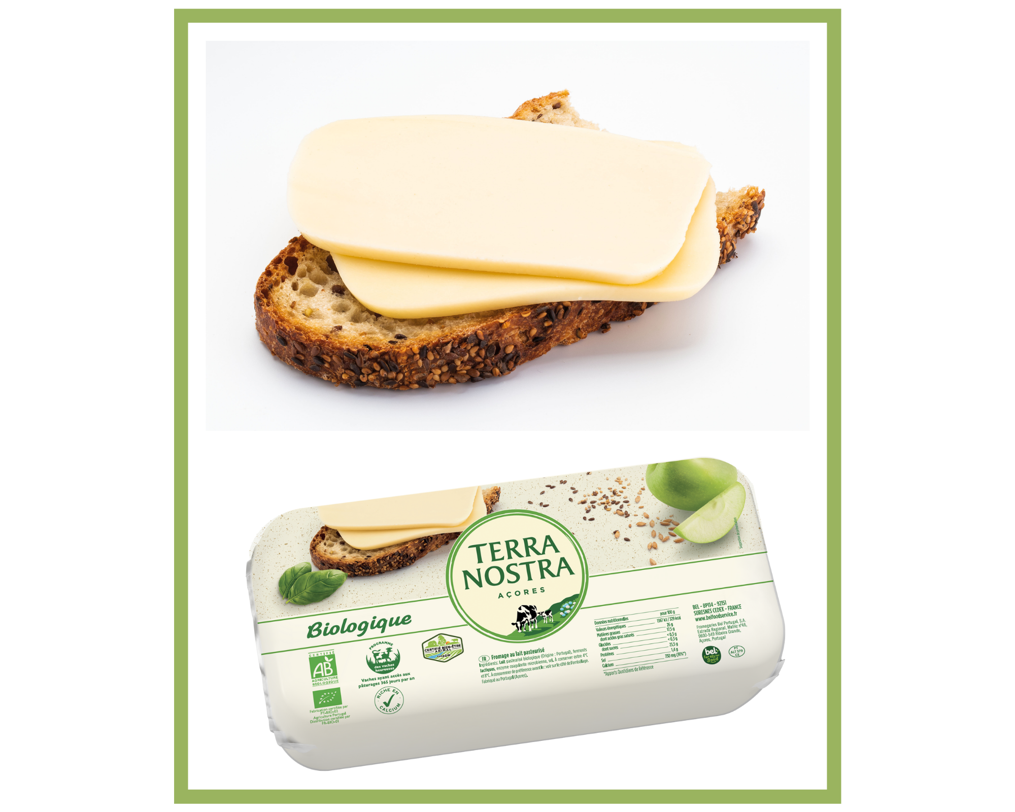 Bel Foodservice : un nouveau fromage bio à la coupe Terra Nostra