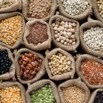 La diversification des protéines