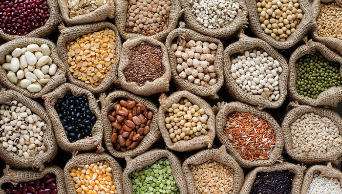 La diversification des protéines