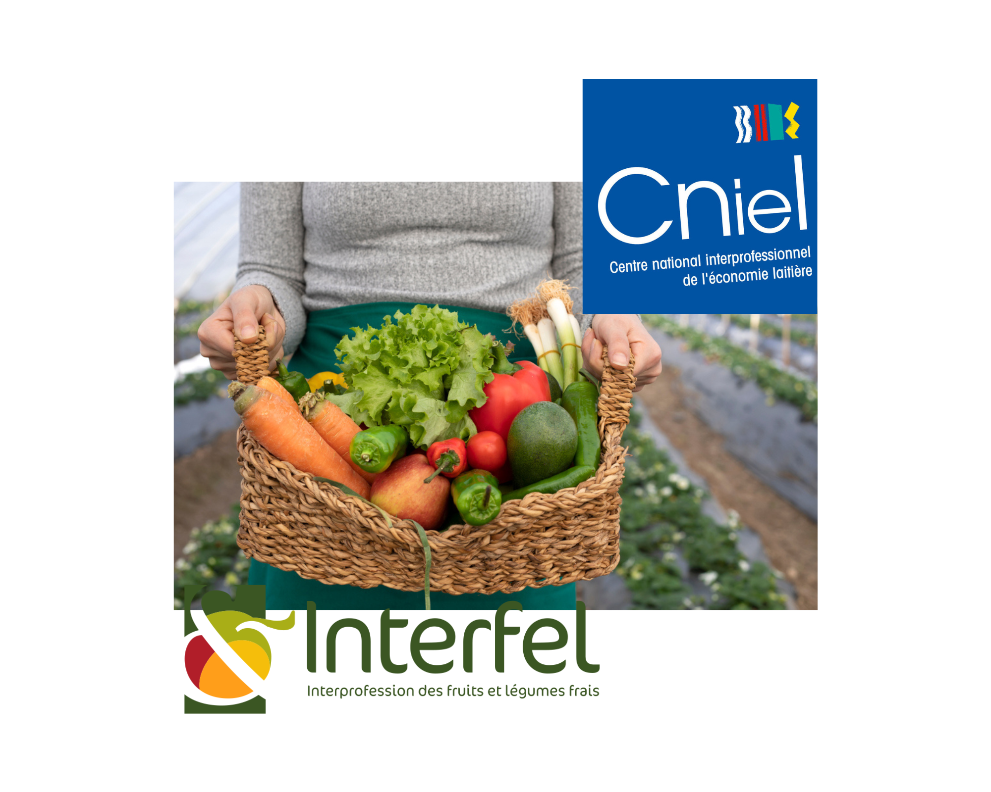 Sirha Lyon : découvrez la programmation du stand Cniel / Interfel