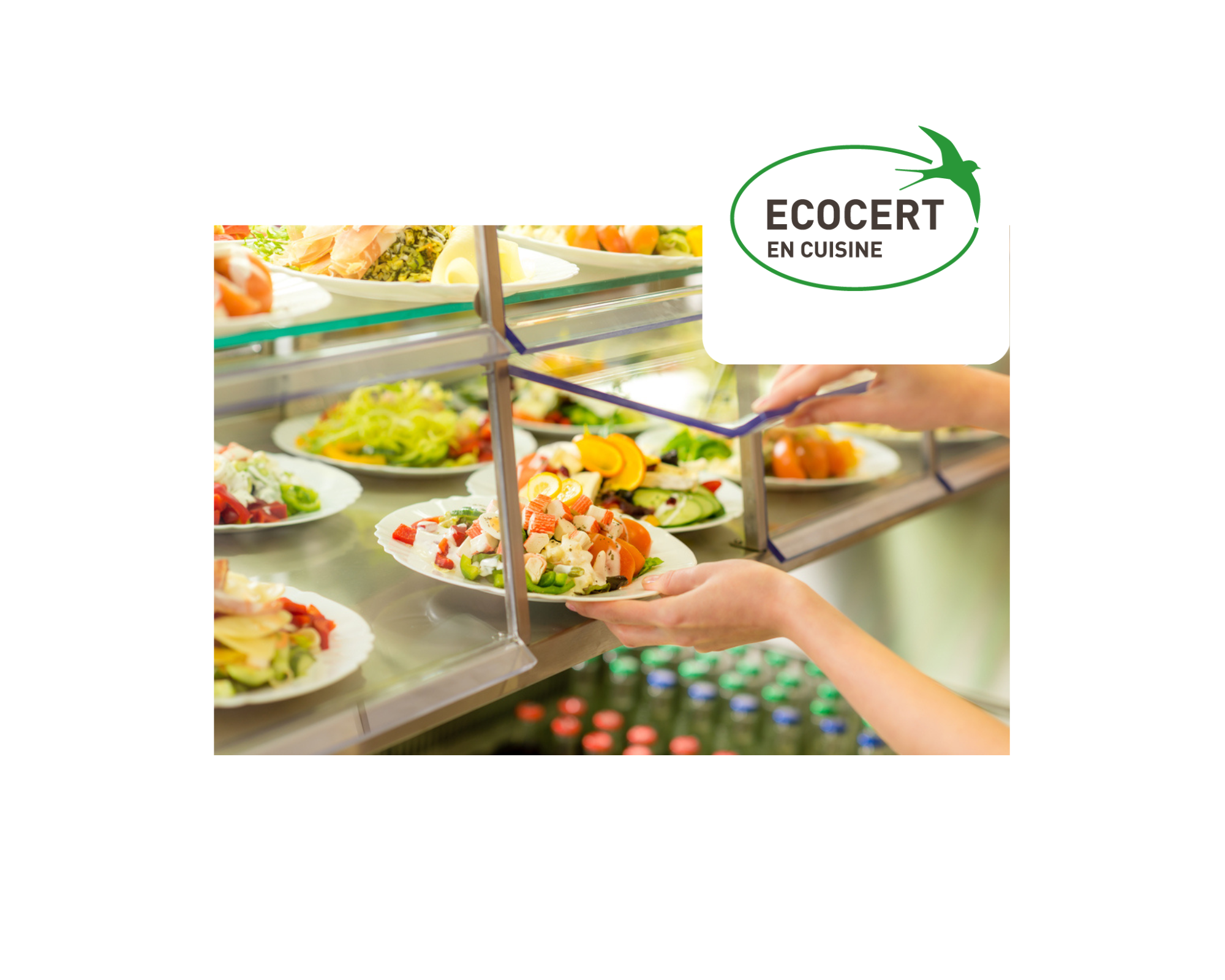 Découvrez le rapport d’activité 2022 d’Ecocert en Cuisine