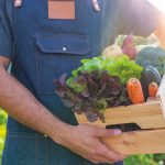 Tribune nutrition : Le manifeste du Groupe SOS pour une alimentation plus durable