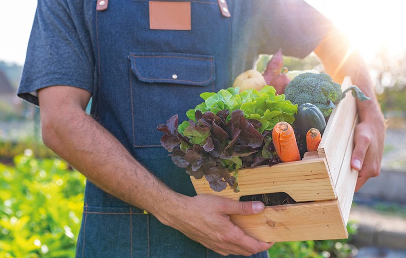 Tribune nutrition : Le manifeste du Groupe SOS pour une alimentation plus durable