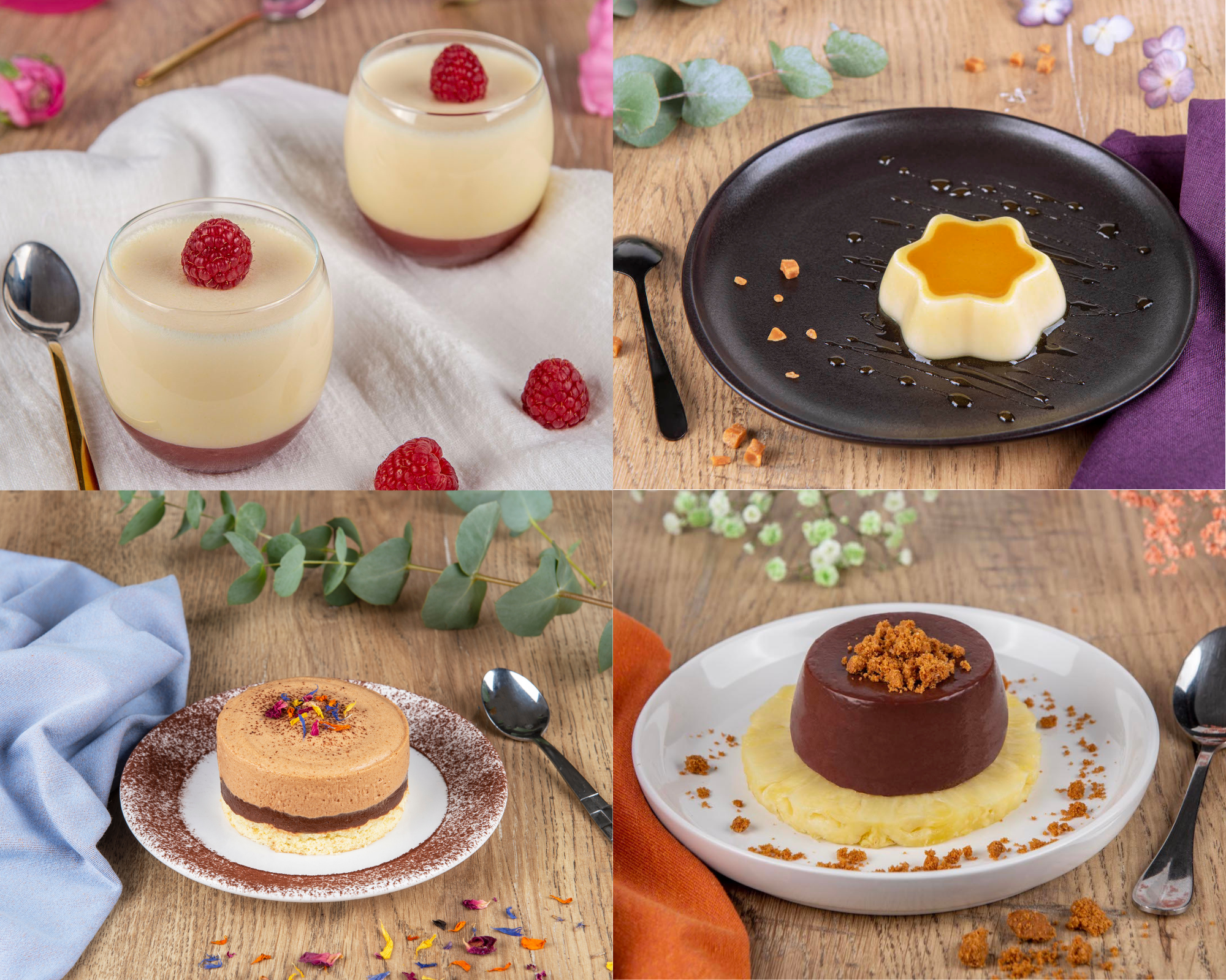 alsa Professionnel : 3 nouvelles recettes de préparations à froid pour desserts « clean label »