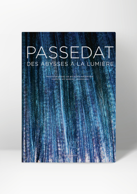 Gérald Passedat célèbre la Méditerranée avec « Des abysses à la lumière »
