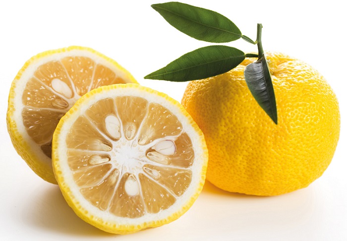 Explorez l’acidité rafraîchissante du yuzu !