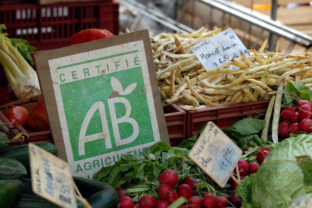 La FNH dévoile son étude « Agriculture bio : quels débouchés pour sauver la filière »