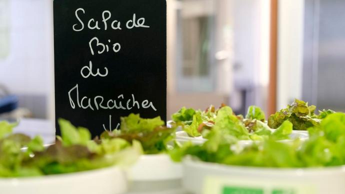 Mise à jour des guides pratiques pour la restauration collective en gestion directe et concédée