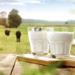 Une Journée mondiale pour (re)découvrir le lait sous toutes ses formes