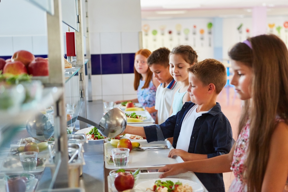 L’AMF dévoile sa nouvelle enquête sur la restauration scolaire