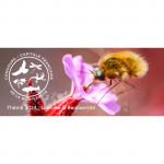 7 communes récompensées au concours Capitale française de la biodiversité