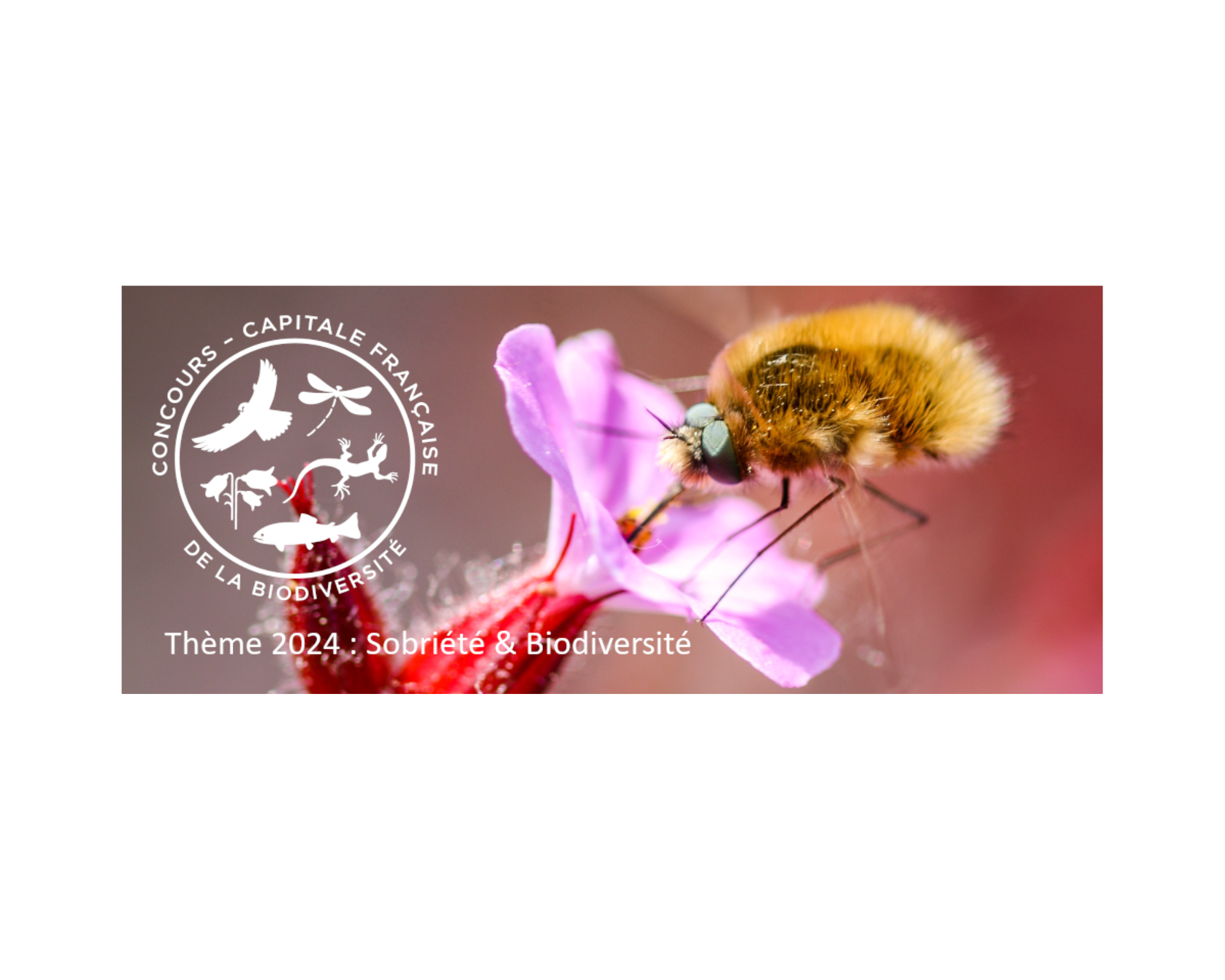 7 communes récompensées au concours Capitale française de la biodiversité