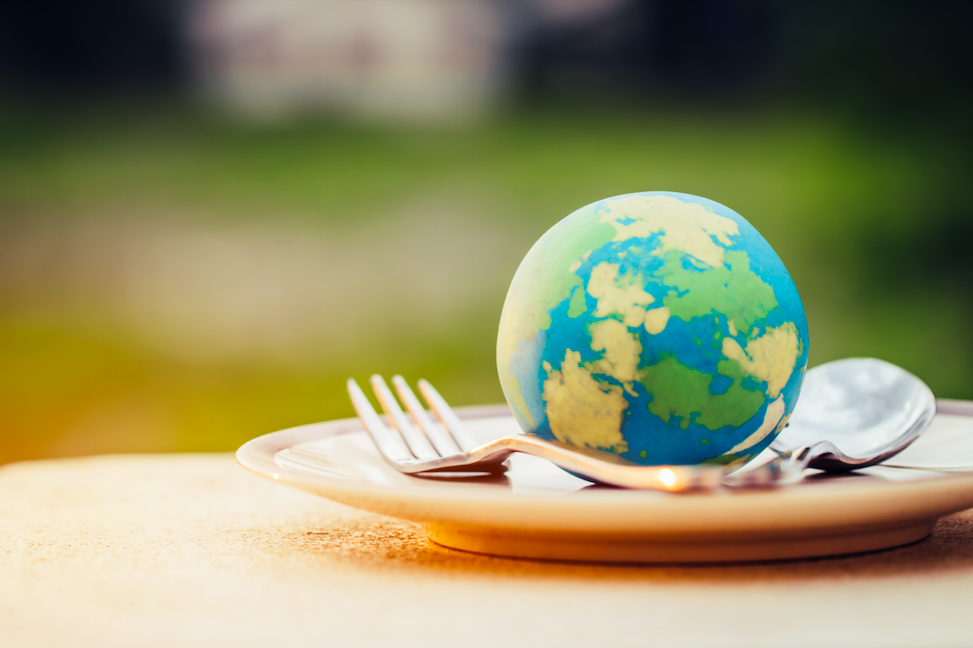 Étude Xerfi : quelles solutions pour la décarbonation en restauration ?