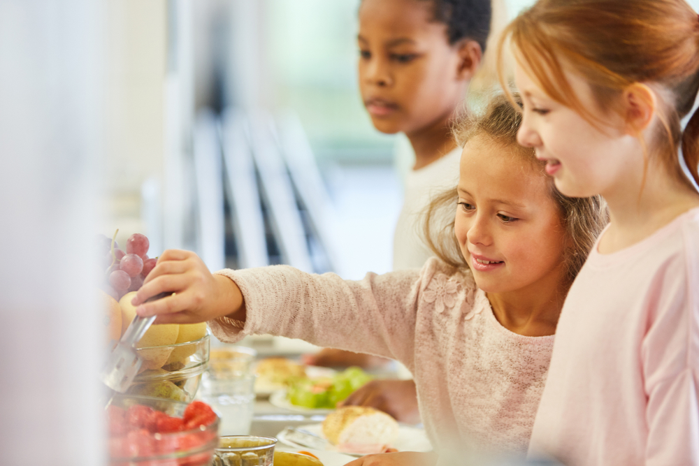 Le HCFEA dévoile son rapport sur la cantine