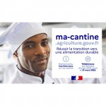 Retour sur le bilan 2024 sur les données d’achat Egalim en restauration collective
