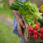 2 rendez-vous pour faire augmenter la consommation des fruits et légumes en collectivité