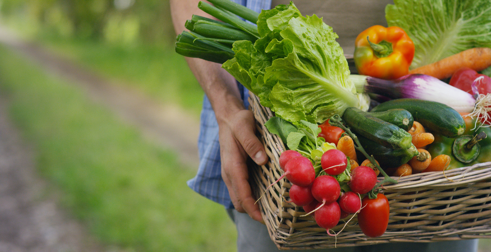 2 rendez-vous pour faire augmenter la consommation des fruits et légumes en collectivité