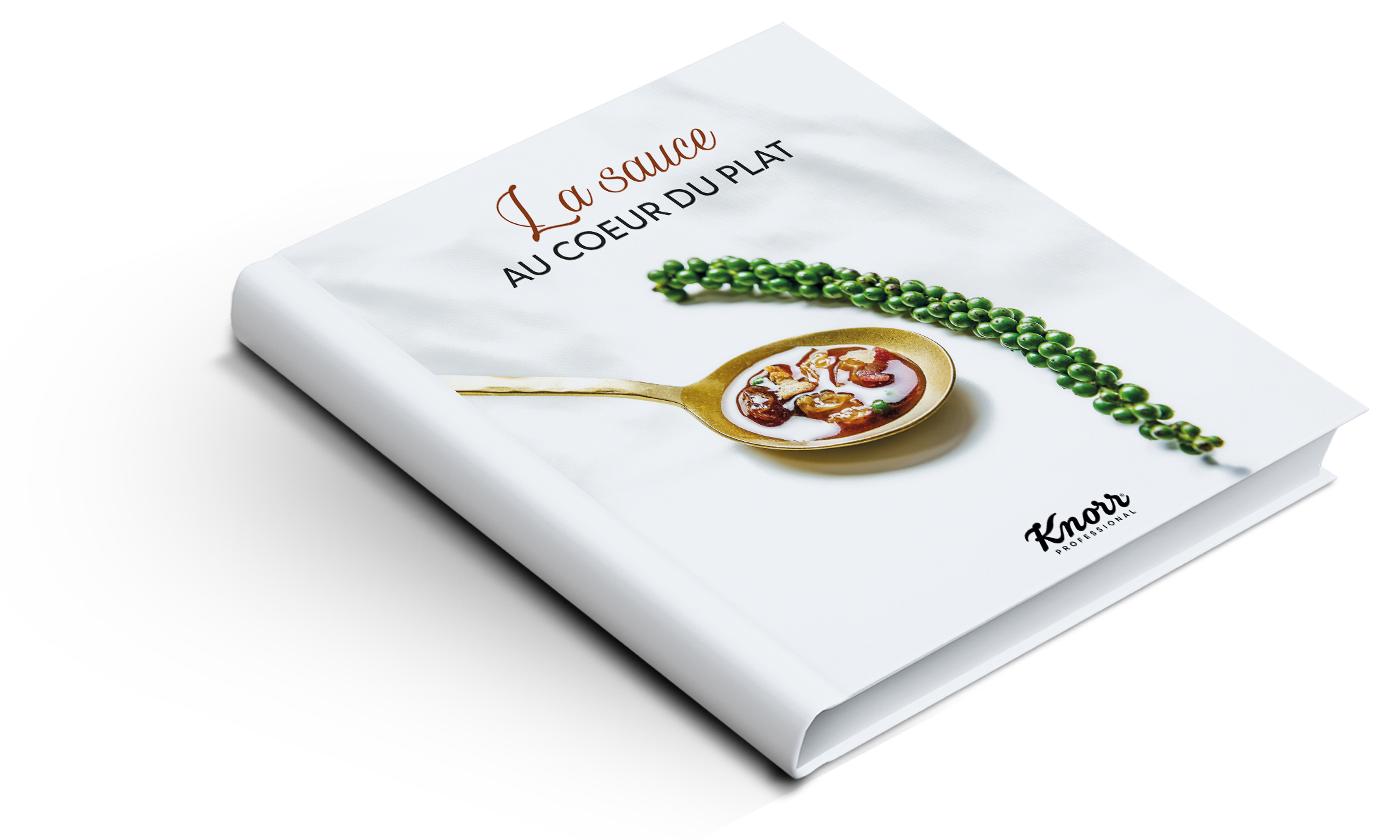 20 chefs se retrouvent dans le nouveau livre « La sauce au cœur du plat »