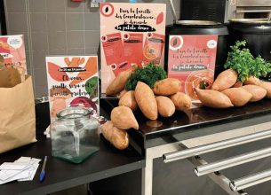 Développer la créativité pour dynamiser l’offre chez Serenest